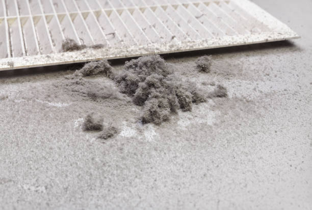 Best HVAC Maintenance and Cleaning  in Fayette, MS